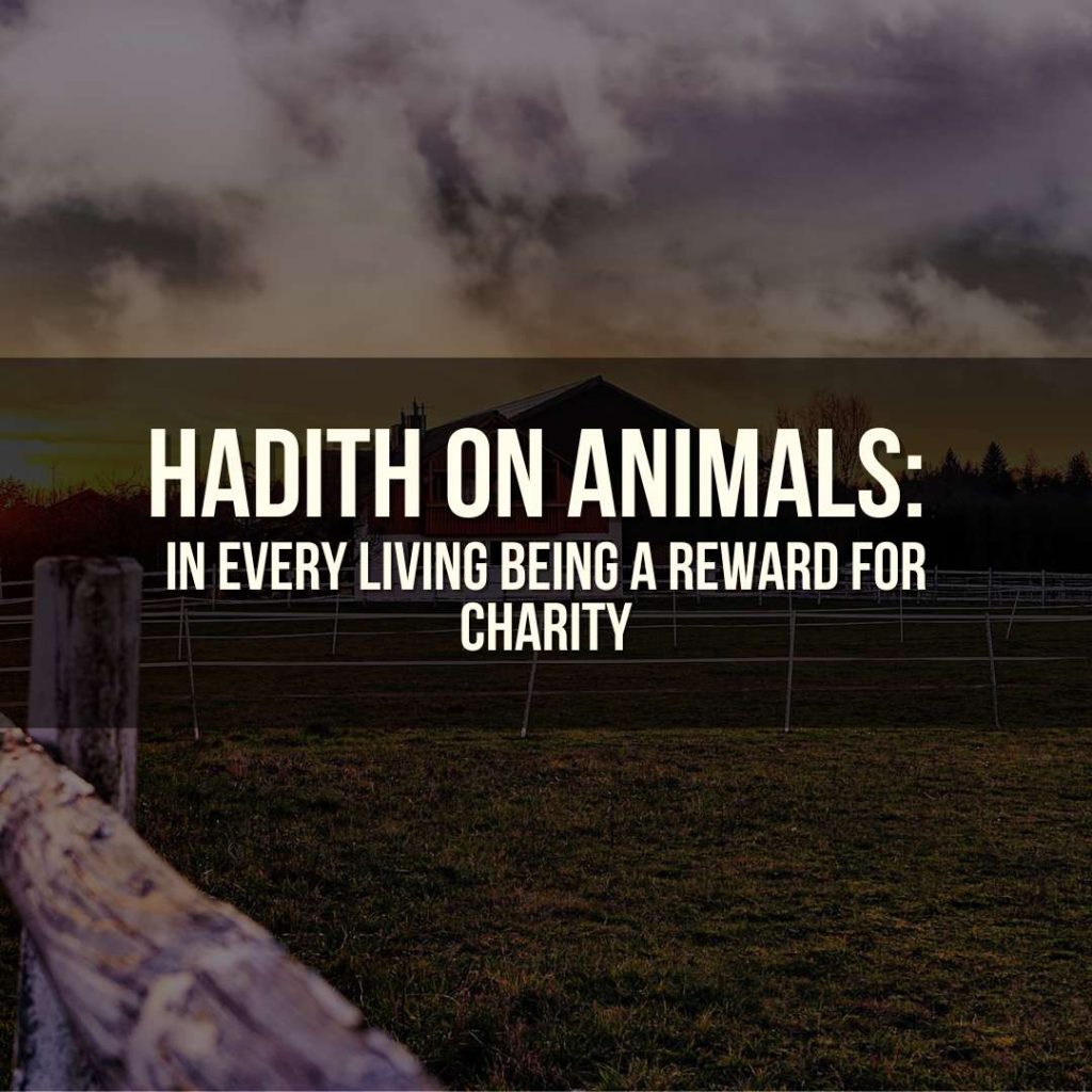 Hadith on Animals: In every living being a reward for charity