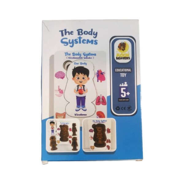 Educational Toys The body System