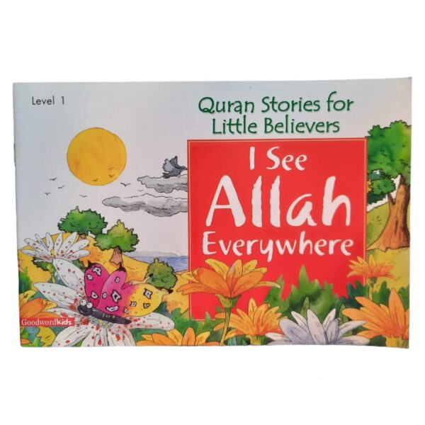 I see Allah everywhere