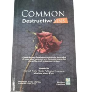 Common destruction sins 