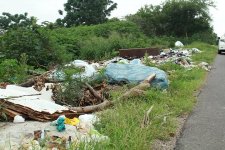 eThekwini Municipality tackles Illegal dumping in Pine Town and Albert Park Vagrants and Drug Camps