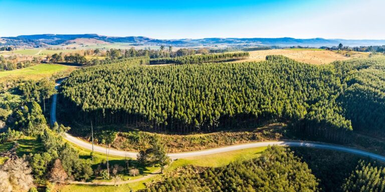 Pietermaritzburg’s Tourism Opportunity Cannot Be Taken for Granted
